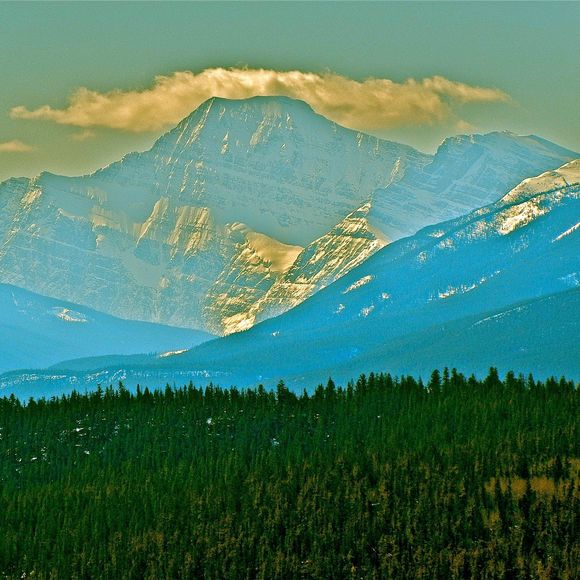 Meet your Posher, Sophie - Picture 1 of 1